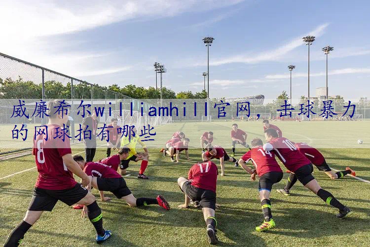 击球暴力的网球拍有哪些