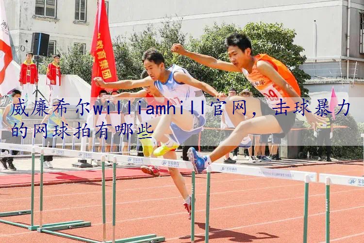 击球暴力的网球拍有哪些