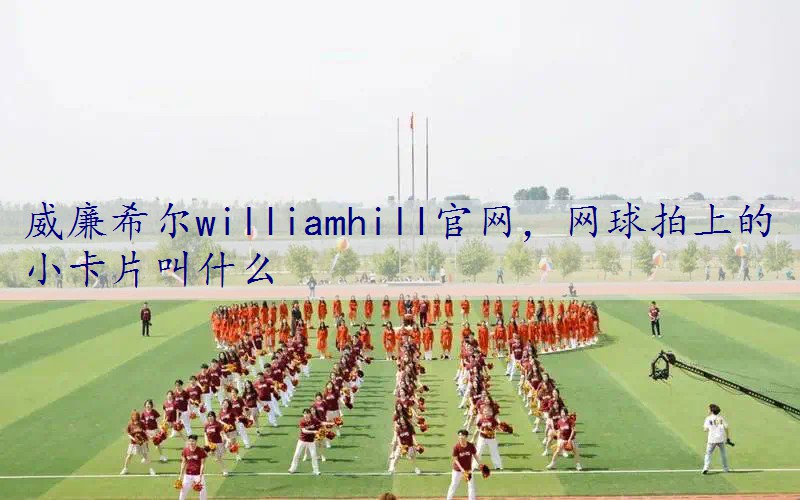 网球拍上的小卡片叫什么