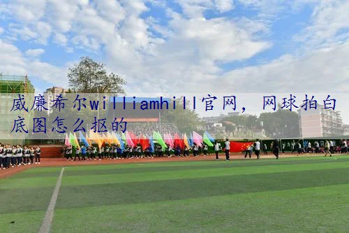 网球拍白底图怎么抠的