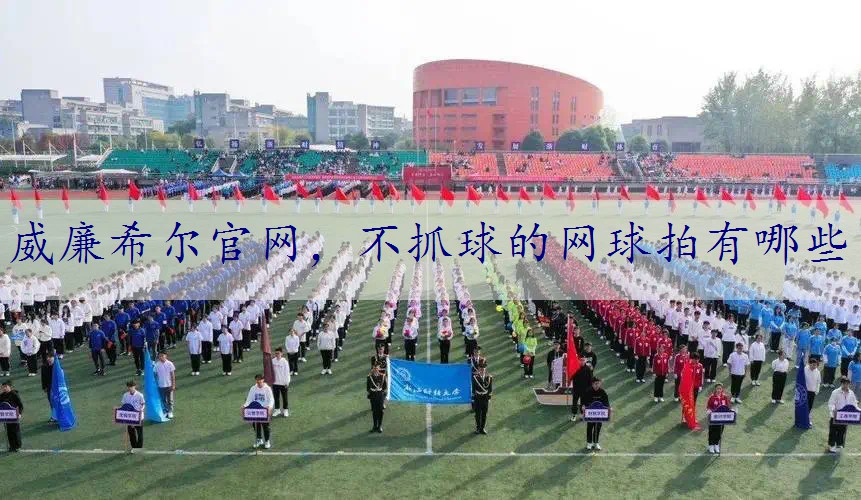 不抓球的网球拍有哪些