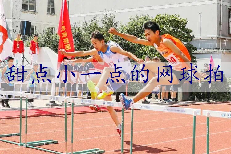 甜点小一点的网球拍
