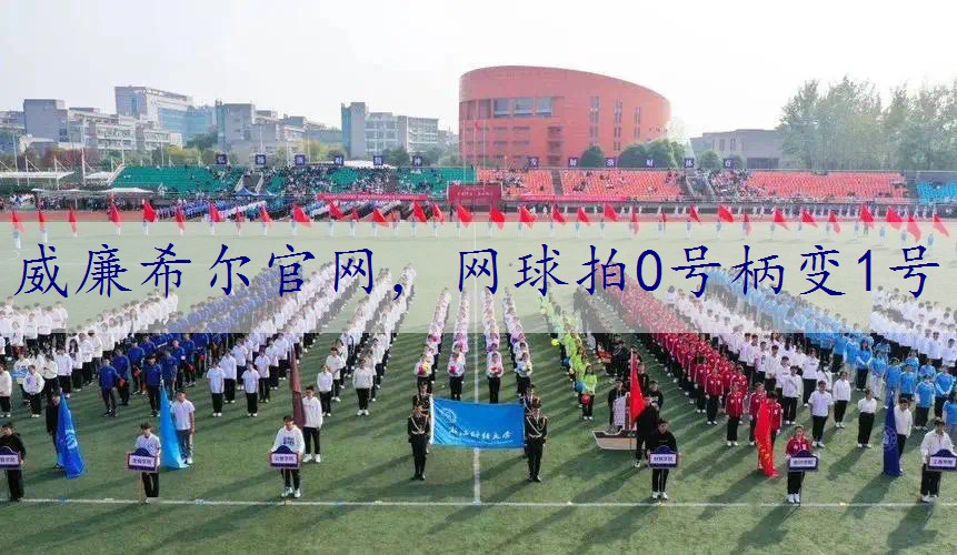 网球拍0号柄变1号