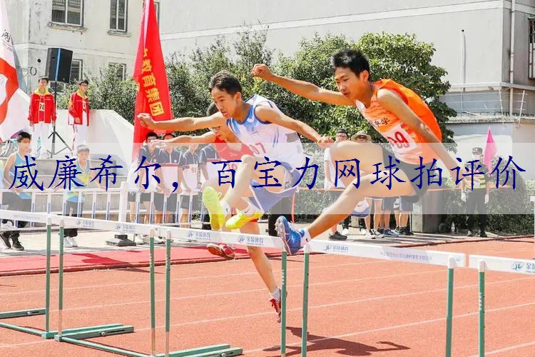 百宝力网球拍评价