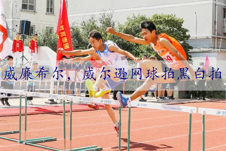 威尔逊网球拍黑白拍
