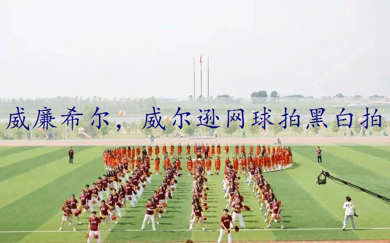 威尔逊网球拍黑白拍