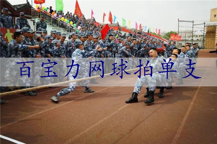 百宝力网球拍单支