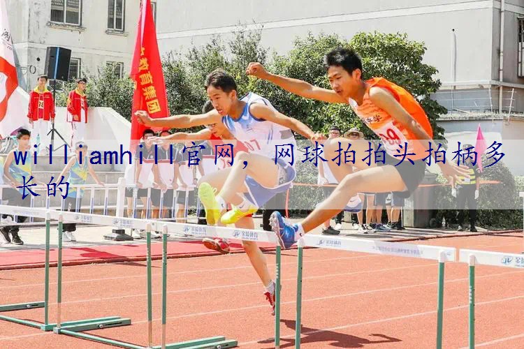 网球拍拍头拍柄多长的