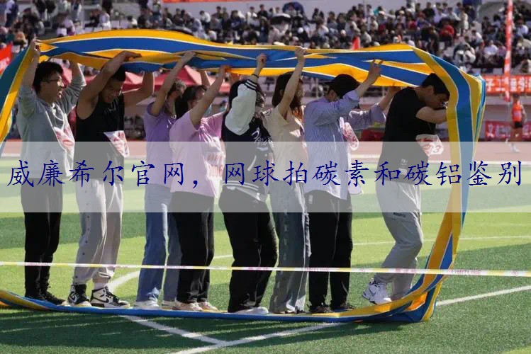 网球拍碳素和碳铝鉴别