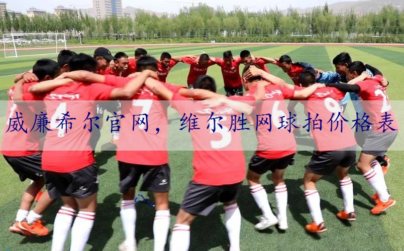 维尔胜网球拍价格表