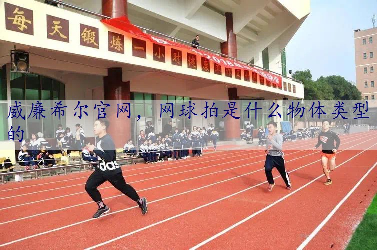 网球拍是什么物体类型的