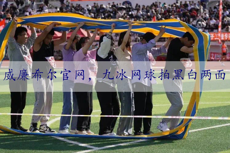 九冰网球拍黑白两面