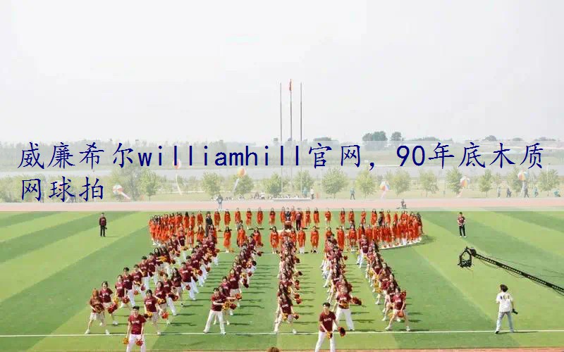 90年底木质网球拍
