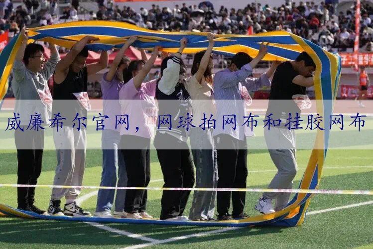 网球拍网布和挂胶网布