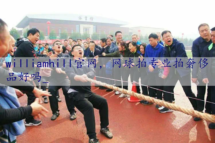 网球拍专业拍奢侈品好吗_