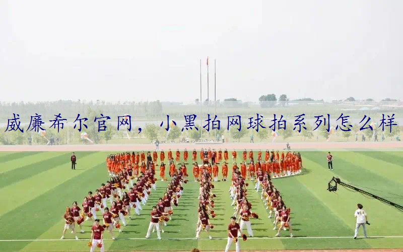 小黑拍网球拍系列怎么样