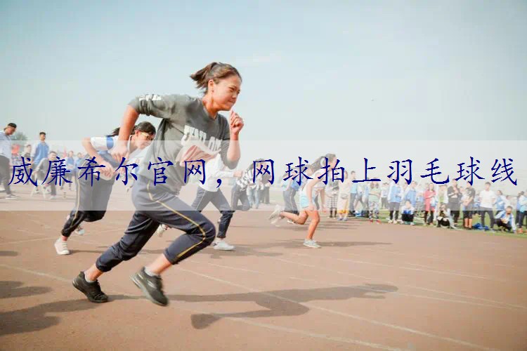 网球拍上羽毛球线