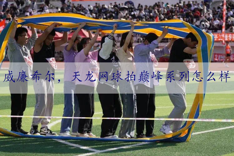 天龙网球拍巅峰系列怎么样