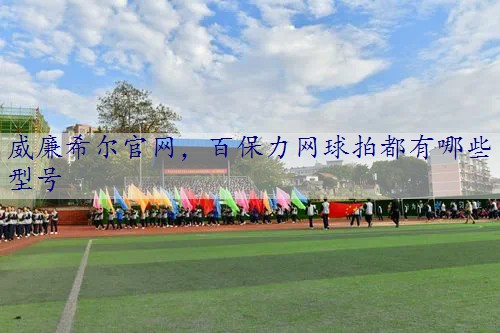 百保力网球拍都有哪些型号