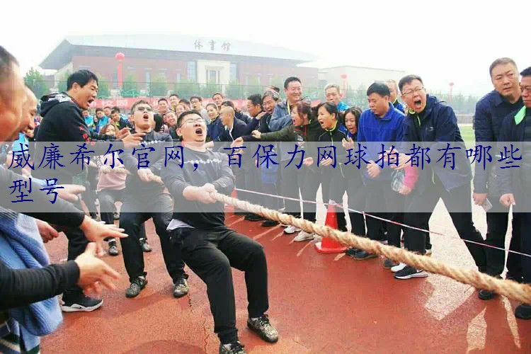 百保力网球拍都有哪些型号