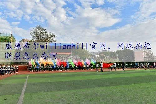 网球拍框断裂怎么办啊