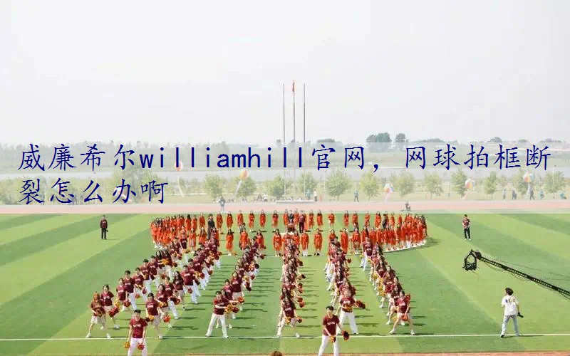 网球拍框断裂怎么办啊