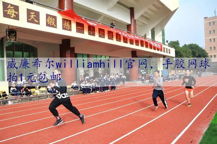 手胶网球拍1元包邮