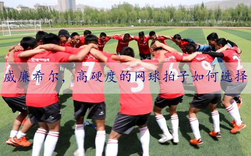 高硬度的网球拍子如何选择