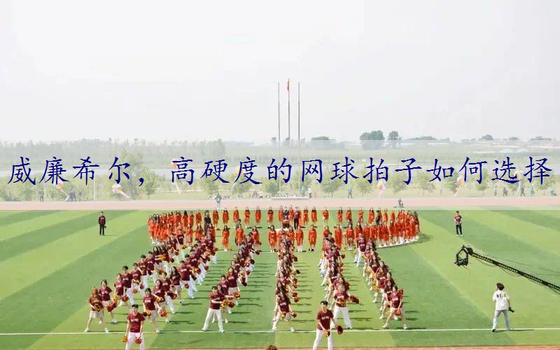 高硬度的网球拍子如何选择