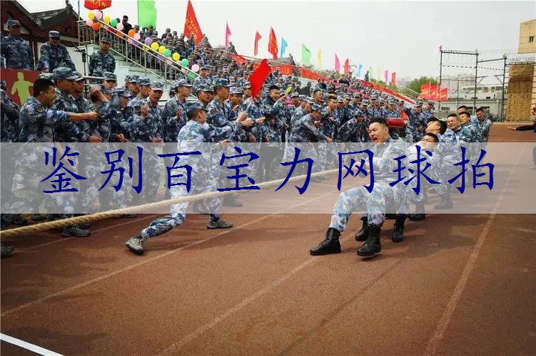 鉴别百宝力网球拍