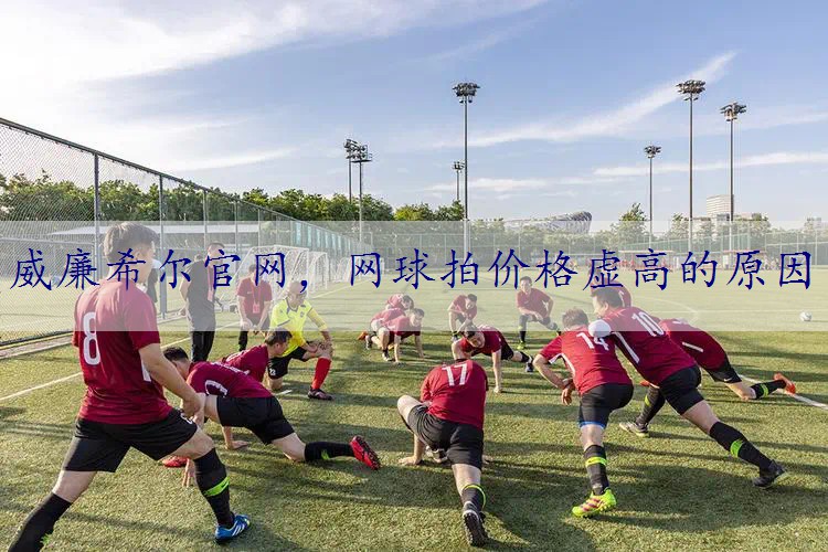网球拍价格虚高的原因