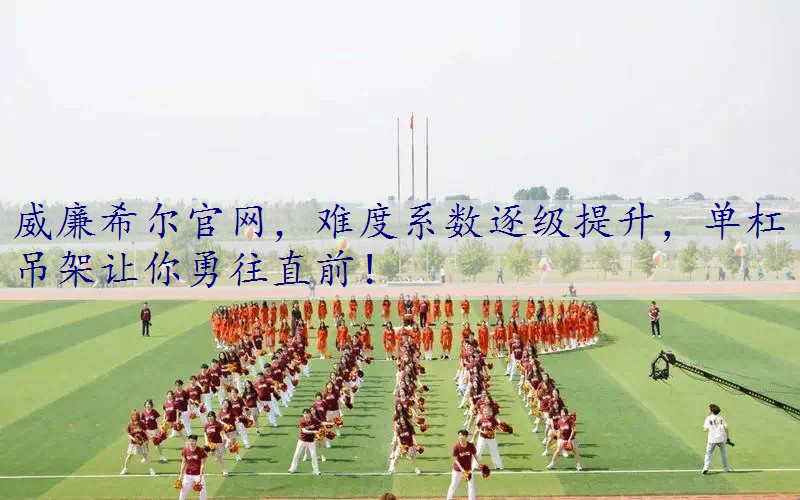 难度系数逐级提升，单杠吊架让你勇往直前！